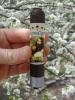 Regina Cigars "Virum et Pater" Pennsylvania Broadleaf Maduro Wrapper 5.5x54 SIZE